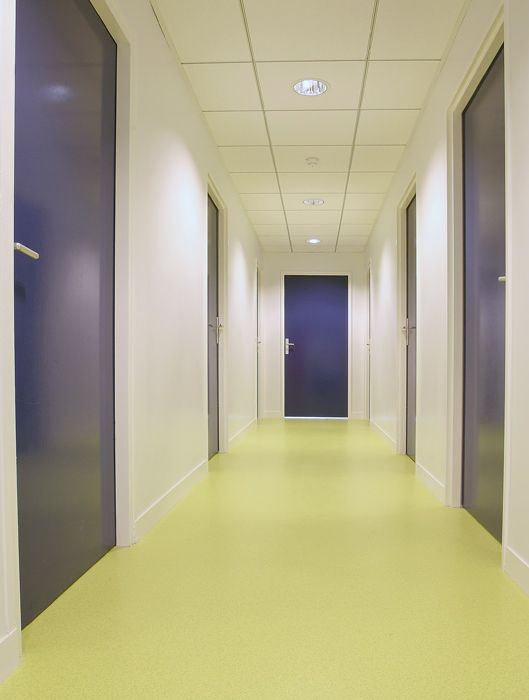 PARIS 5MUSUM HISTOIRE NATURELLE43 RUE BUFFON