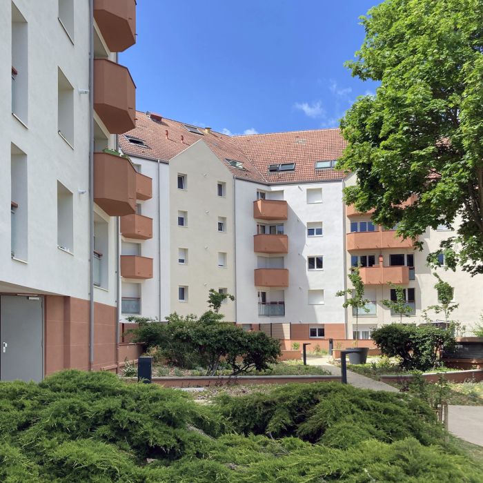 IMG_9455-Retouchée